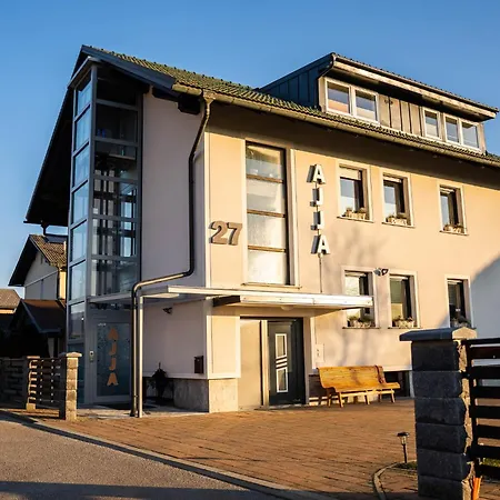 Apartma Ajja Apartment