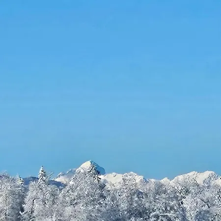 公寓 Apartma Ajja *