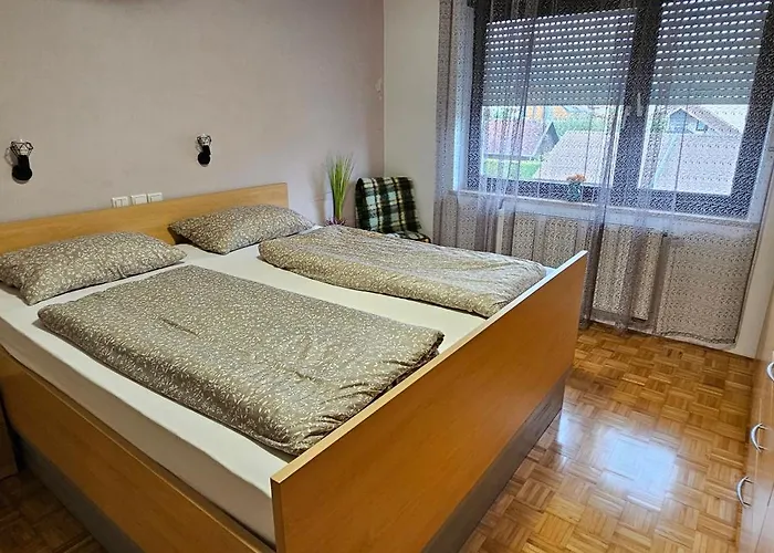 Апартаменты Apartma Ajja Шенчур