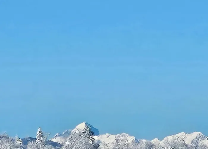 Апартаменты Apartma Ajja *